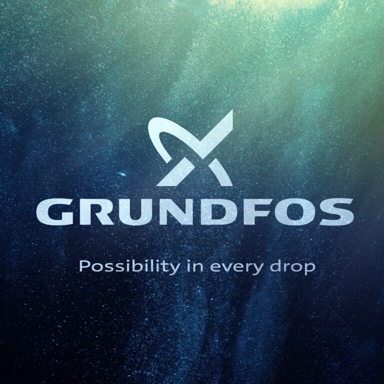 Grundfos Global Graduate Programme