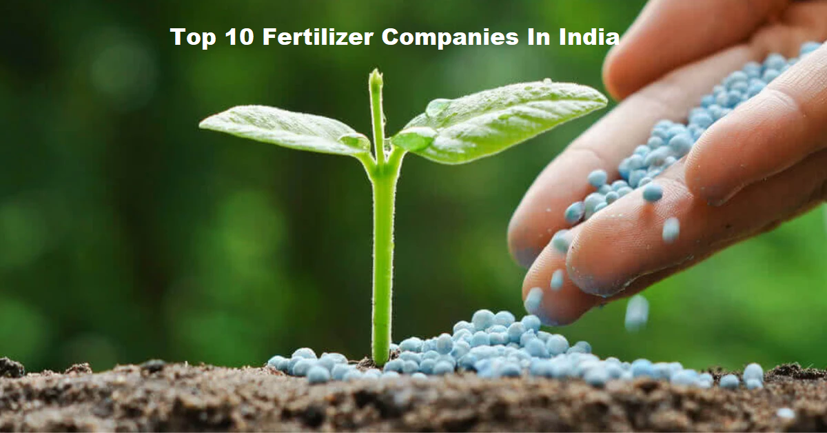 Top 10 Fertilizer Companies In India